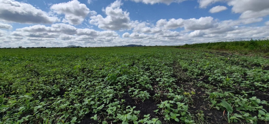 0 Bedroom Property for Sale in Brits Rural North West